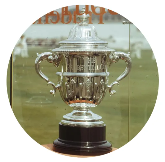 Cricket 1975 Cricket World Cup Image Screenshot